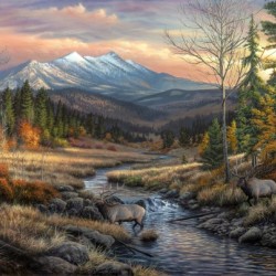 a wanderers dream_FINALcanvas